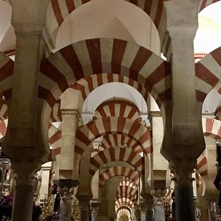 Apartmán Ribera Del Quivir Córdoba Exteriér fotografie